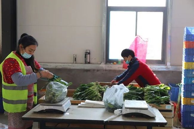 72小时生死线 视频缩略图