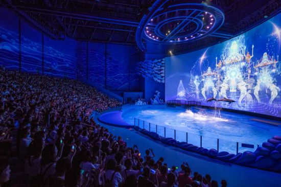 倾听者 2022 视频缩略图