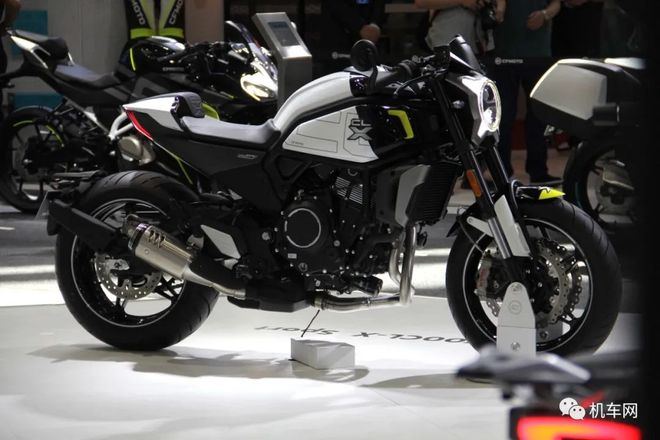 侠盗王子罗宾汉 视频缩略图