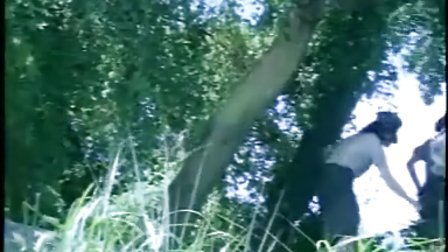 29岁美好人生 视频缩略图