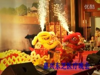 21克拉 视频缩略图