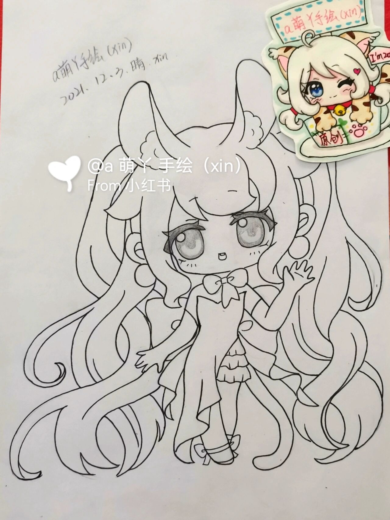 伟大的巴克·霍华德 视频缩略图