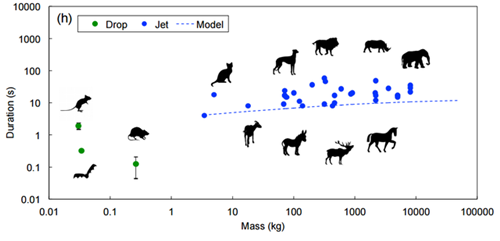 丈母娘来了 视频缩略图