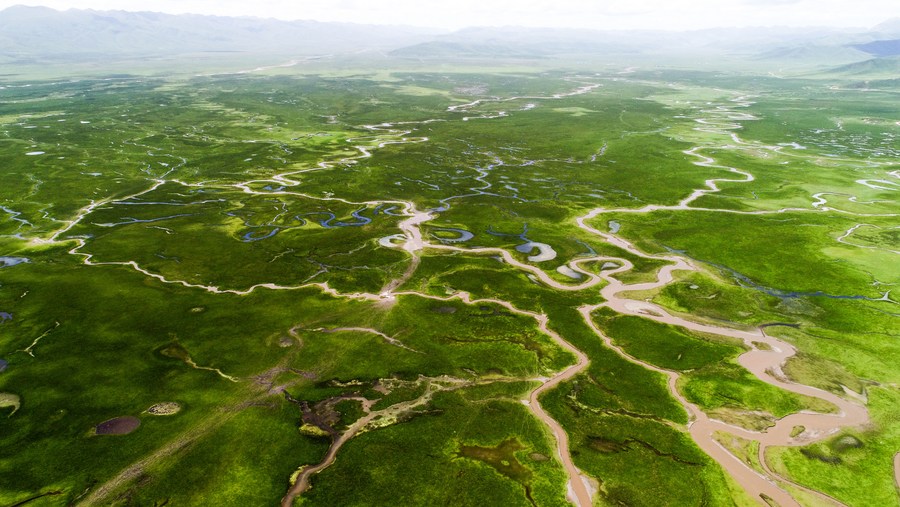 使徒行者2：谍影行动（国语版） 视频缩略图