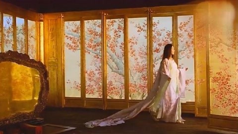 007：幽灵党 视频缩略图