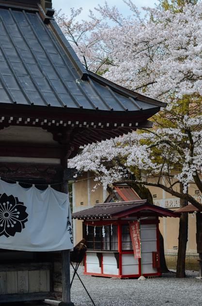 偷情别墅 视频缩略图