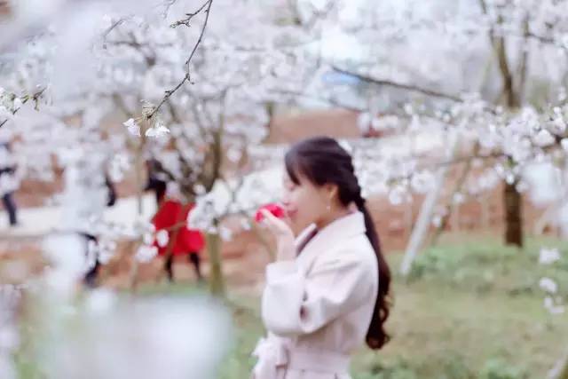 倒计时 视频海报