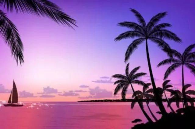 仙书奇谭 视频主图