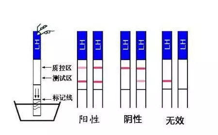 你好，妈妈 视频缩略图