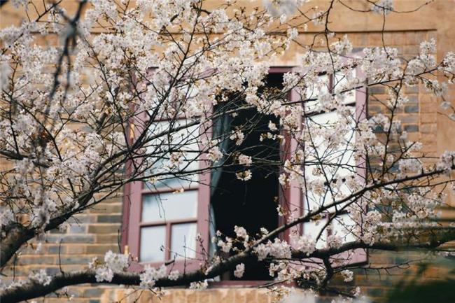 你情我愿 你情我願 视频缩略图