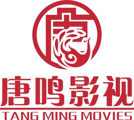 伪造者 视频缩略图