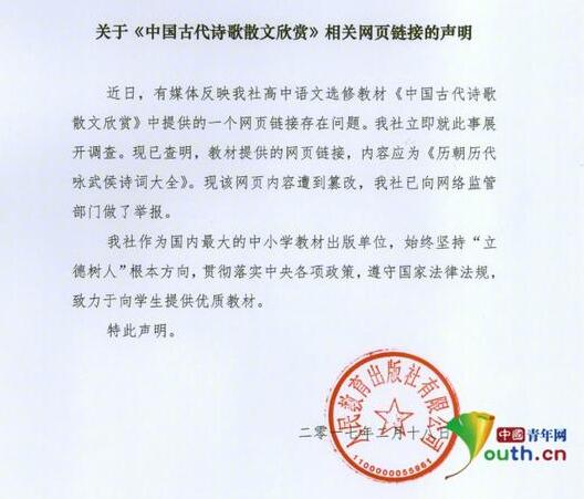 偷来的人生 视频海报