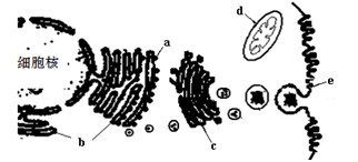 低俗喜剧 视频缩略图