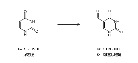 仙书奇谭 视频海报