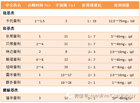 假装热情 视频缩略图