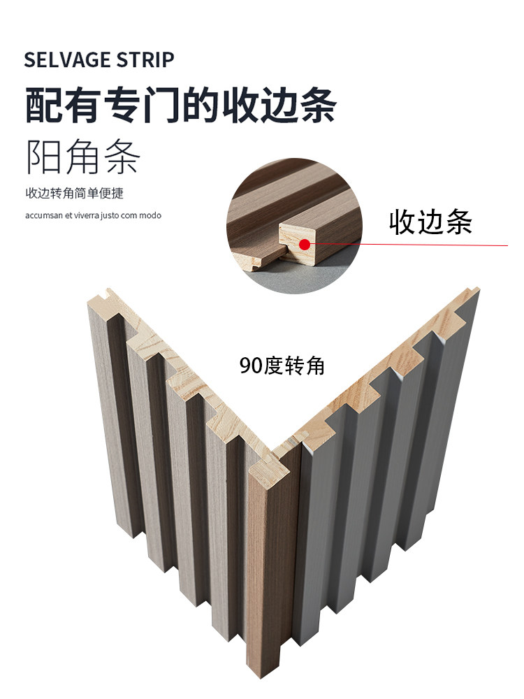 传奇的诞生（原声版） 视频海报