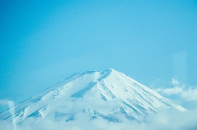 102真狗 视频缩略图