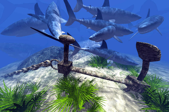 侏罗纪三角 视频缩略图