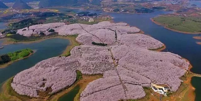 僵尸世界大战（粤语版） 视频海报