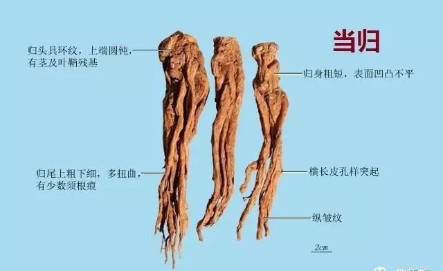 仙剑奇侠传前传：酒剑仙 视频缩略图