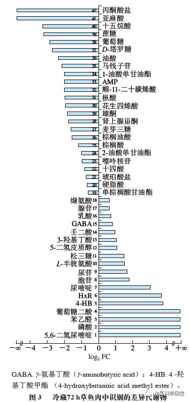 X战警：第一战（原声版） 视频缩略图