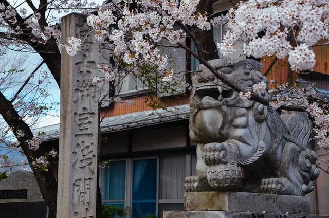 45平方米 视频缩略图