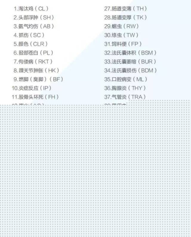80后的独立宣言 视频海报