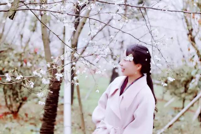 保卫战队之出动喇！朋友！ 视频海报