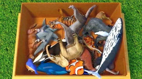 你好，妈妈 视频缩略图