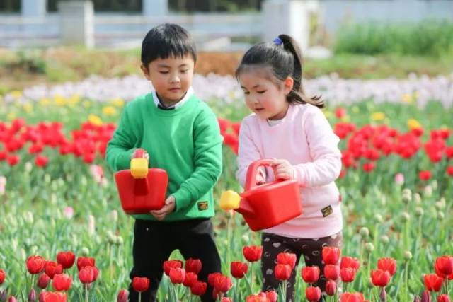 依兰爱情故事 视频主图