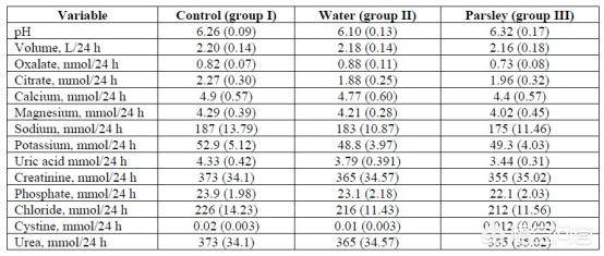 31分钟：热火朝天圣诞夜 视频海报