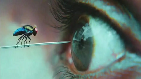 僵尸世界大战（粤语版） 视频缩略图