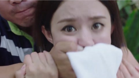 伤物语 -历与吸血鬼 视频海报