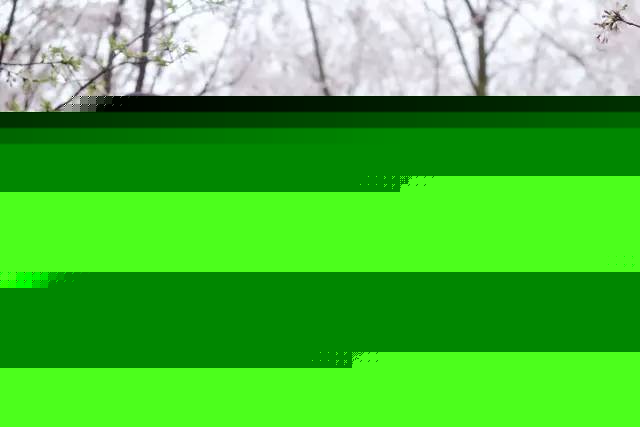 102真狗 视频海报