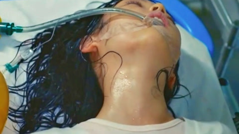 侠肝义犬（国语版） 视频缩略图