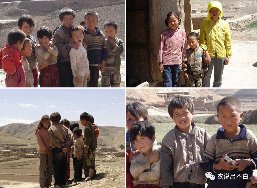 13号子弹 视频海报