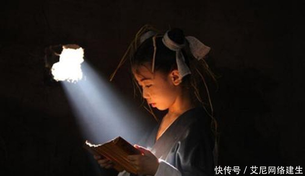 伊丽莎 施莱辛 不同的动物 视频缩略图