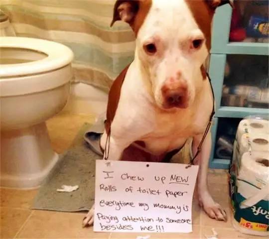 伊朗式分手 视频海报