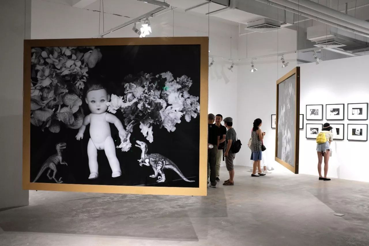 僵尸100：在成为僵尸前要做的100件事 视频缩略图