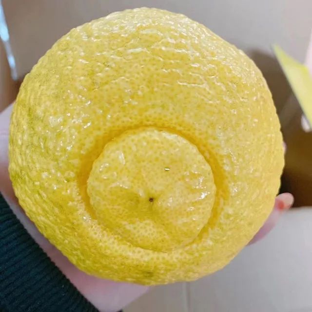 你的婚礼 视频缩略图