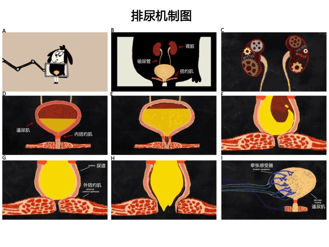 倚天屠龙记大结局 视频缩略图