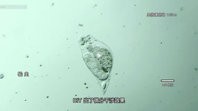 不方便的记忆 视频缩略图