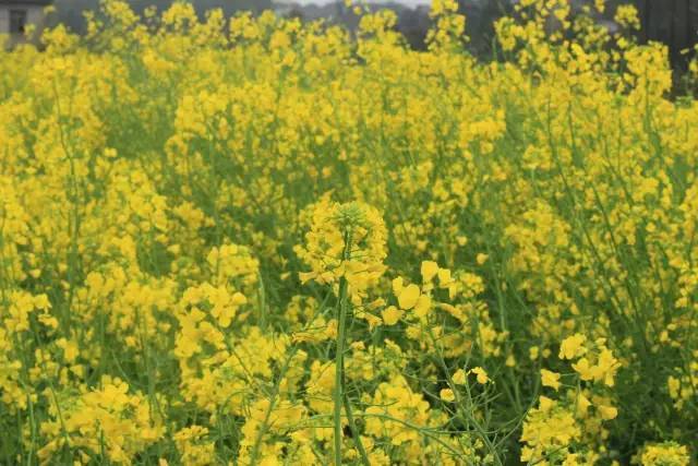 假面骑士联手出击驰骑与铠武电影大战全力出击 视频缩略图