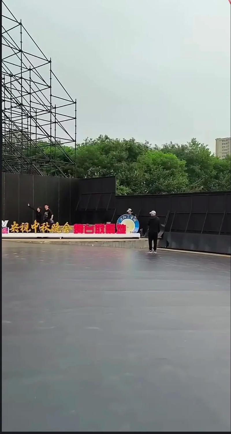 保镖2024 视频缩略图