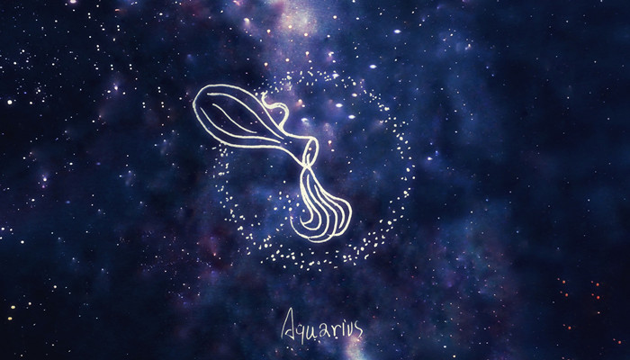 元首与引诱者 视频缩略图