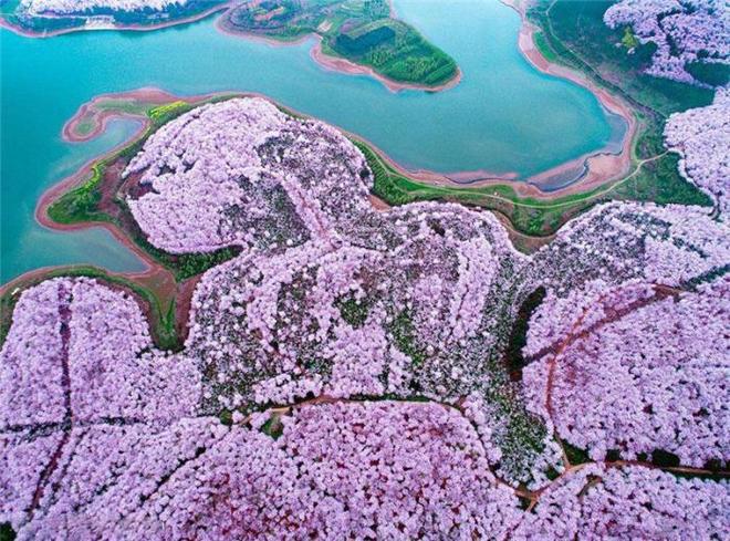 12回合 视频缩略图