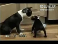 代孕帝国 视频缩略图