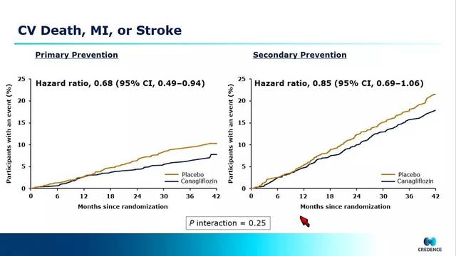 候鸟 视频缩略图
