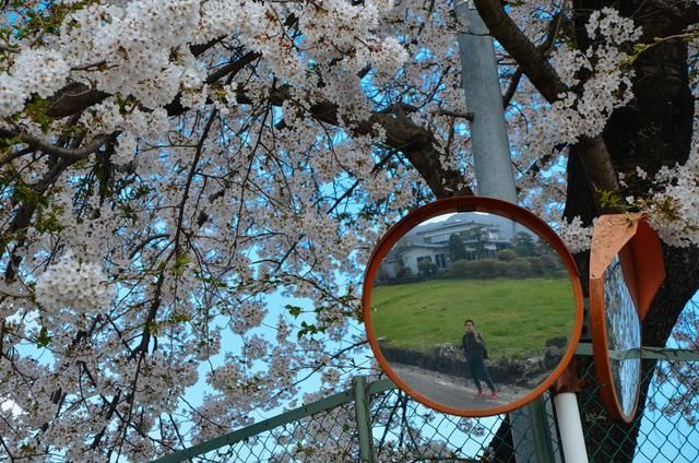 侣行攻略之确认你是我的人 视频缩略图