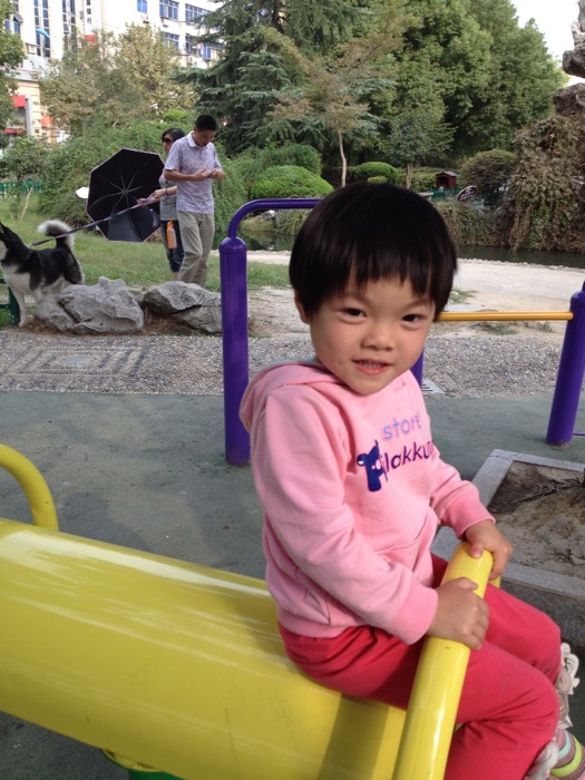 11月6日 视频主图